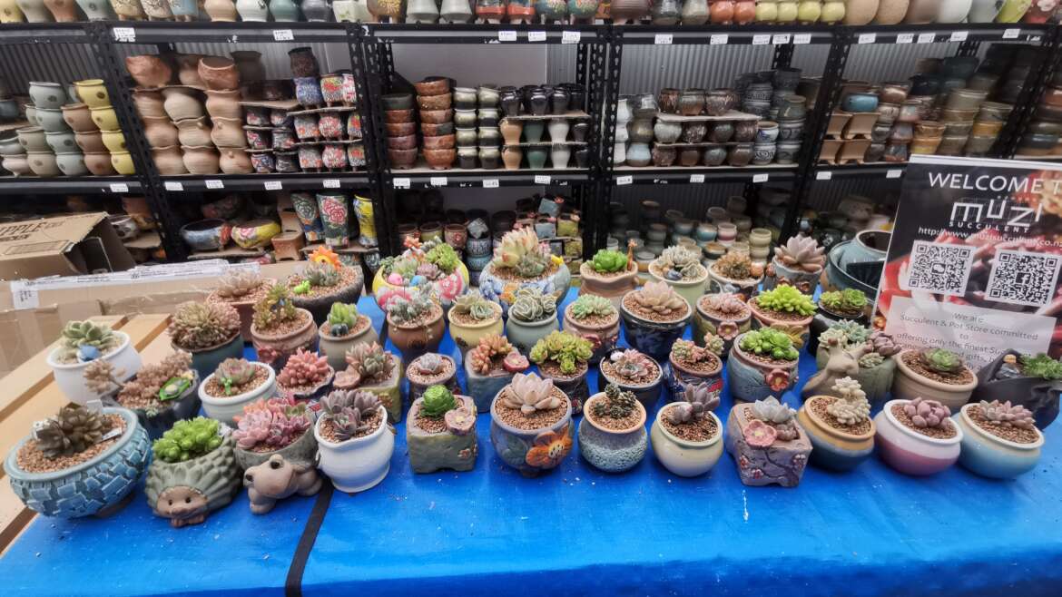 Wellness Corner