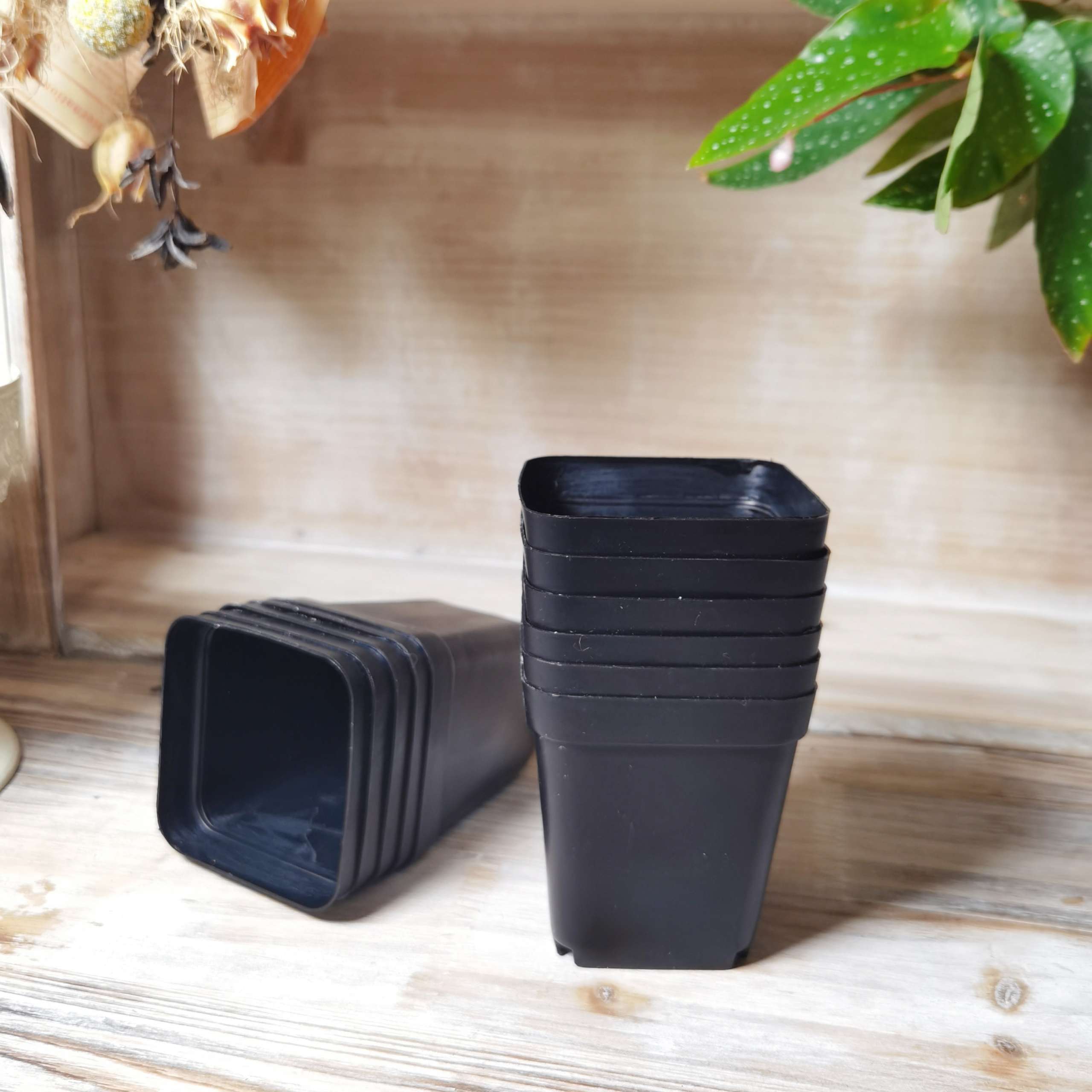 Nursery Square Pot 7x7cm White|Black|Random Color - Image 4