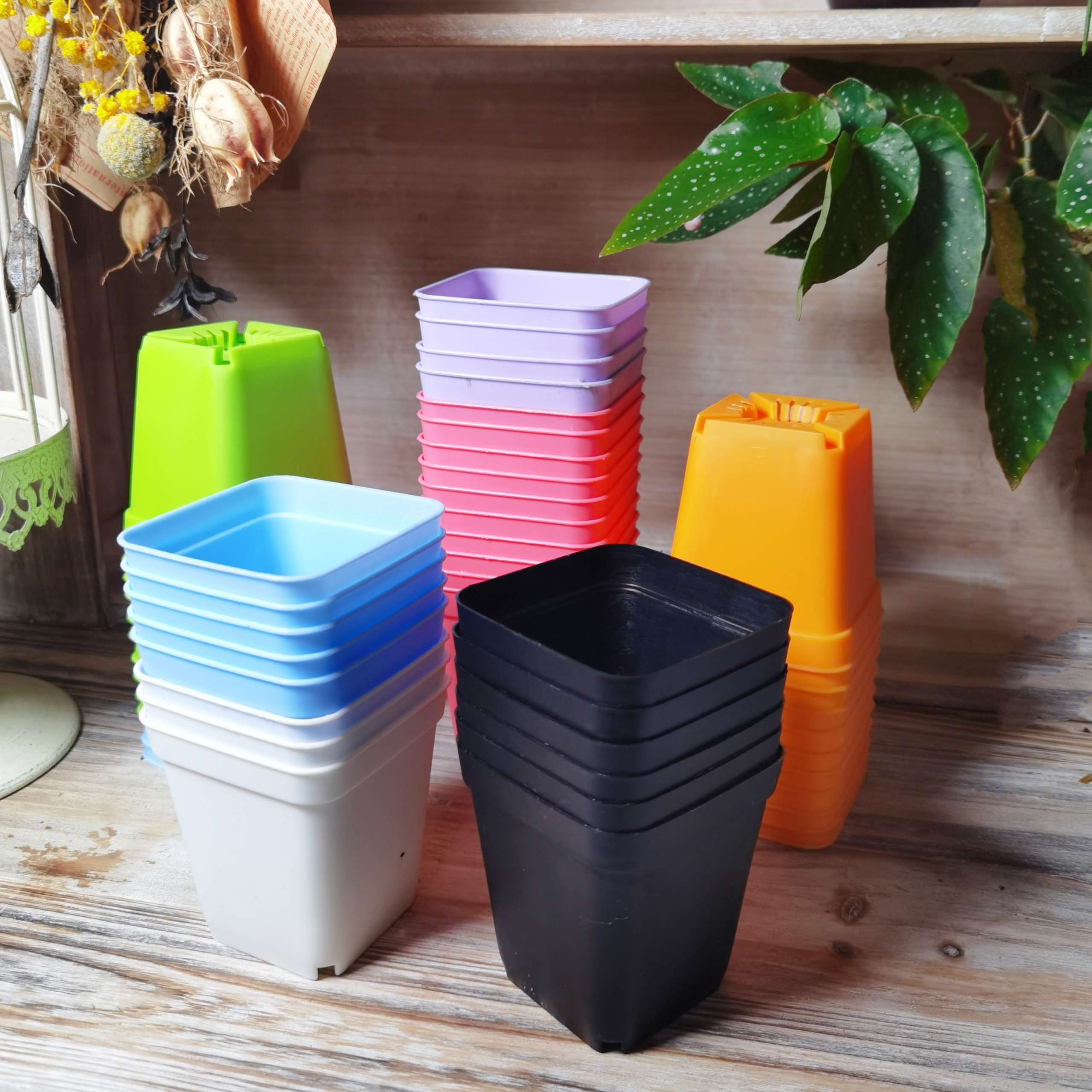 Nursery Square Pot 7x7cm White|Black|Random Color