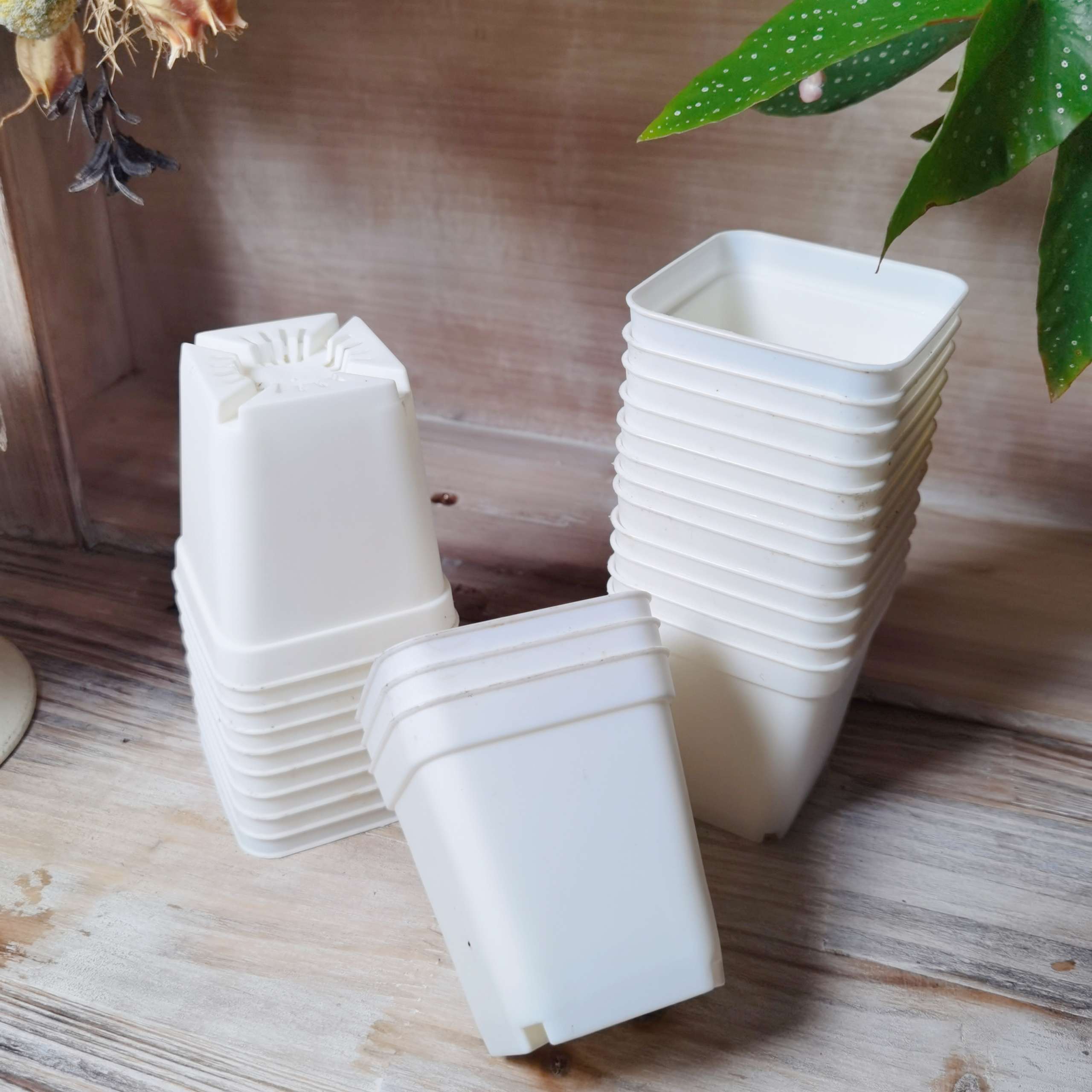 Nursery Square Pot 7x7cm White|Black|Random Color - Image 3