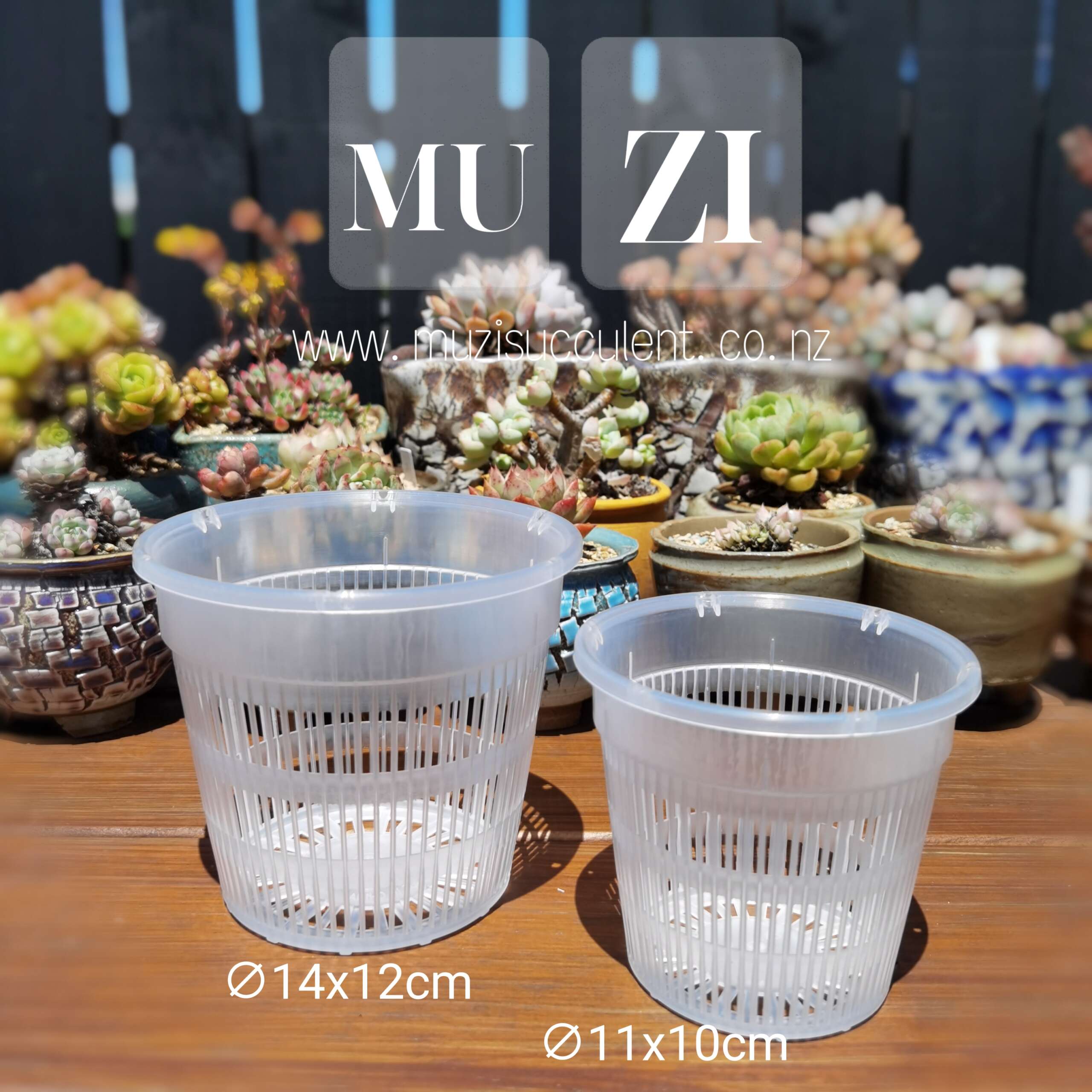 Breathable Plastic Clear Orchid Pot with holes - Image 2