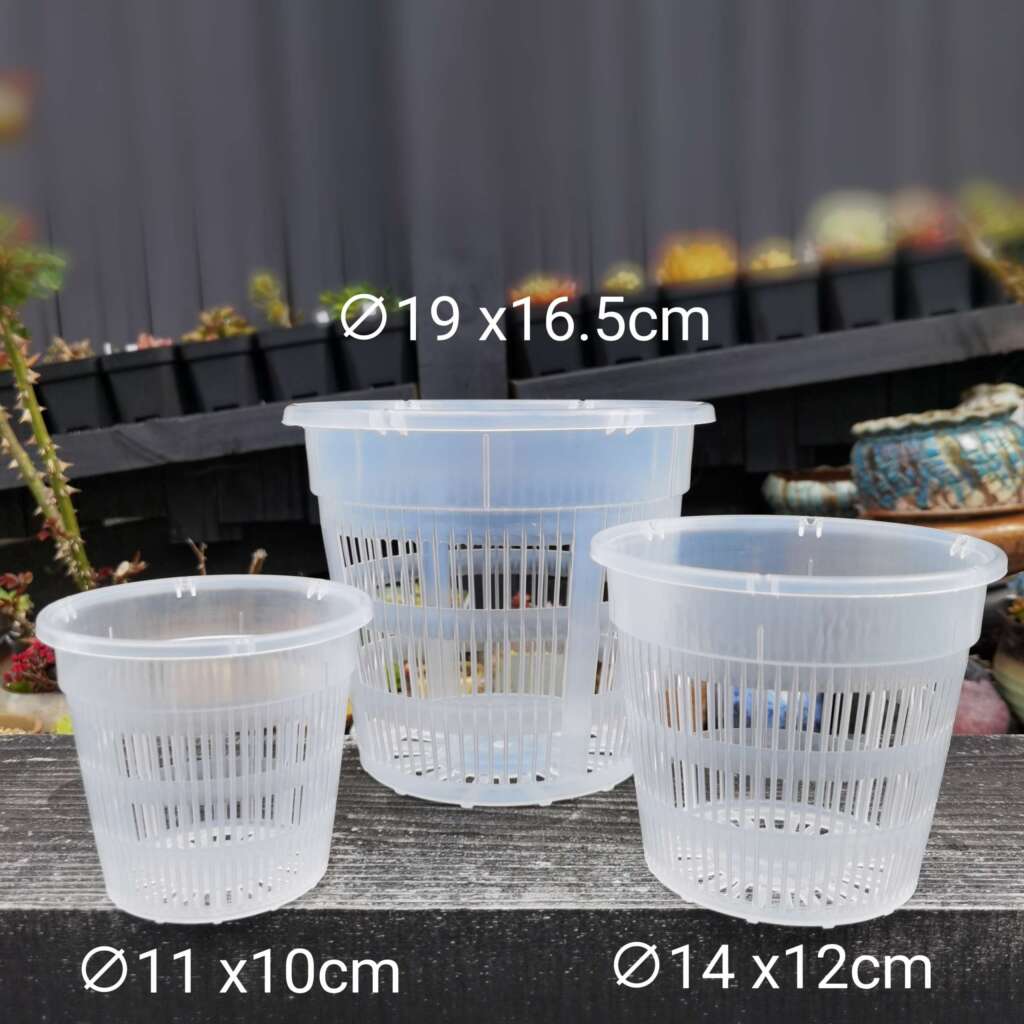 Breathable Plastic Clear Orchid Pot with holes