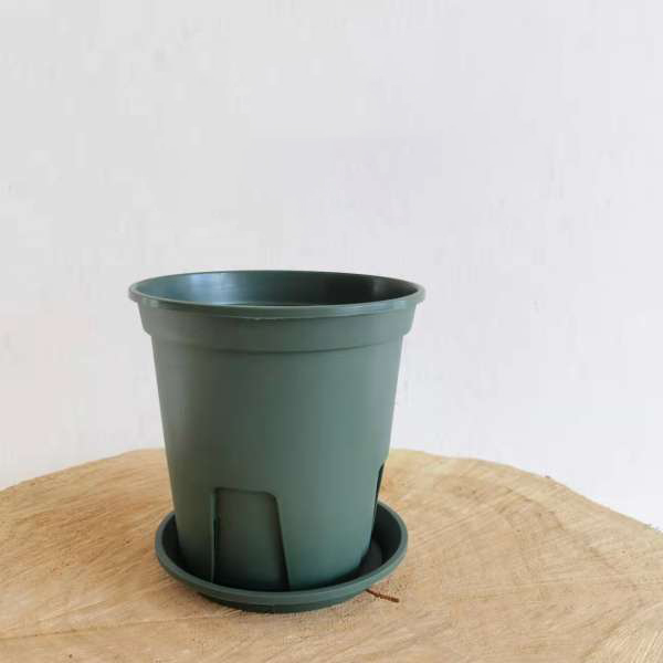 Green QSP Deep Grow Pot with Saucers (Copy) - Image 5