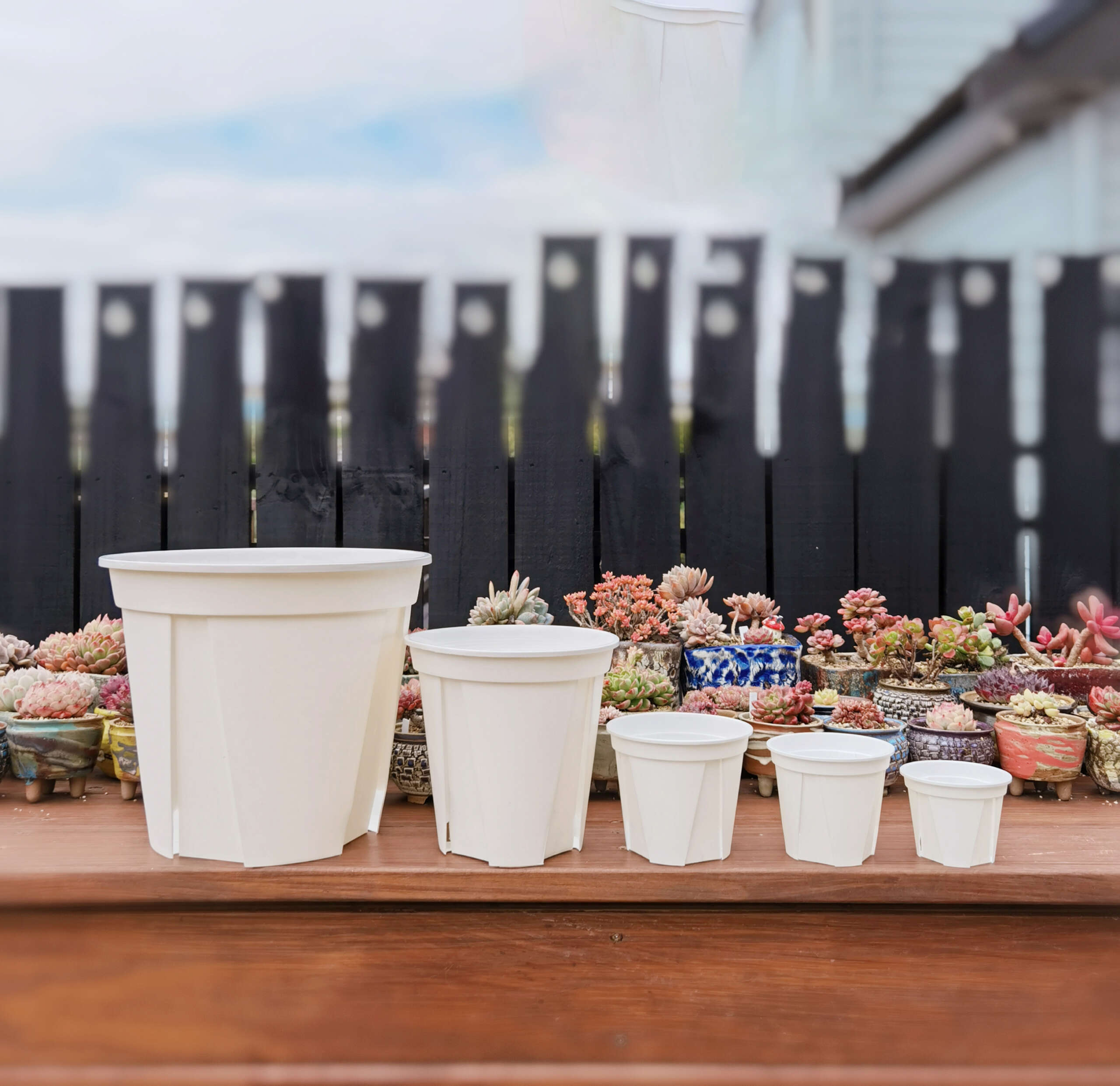 White QSP Plant Pot with Saucers - Image 4