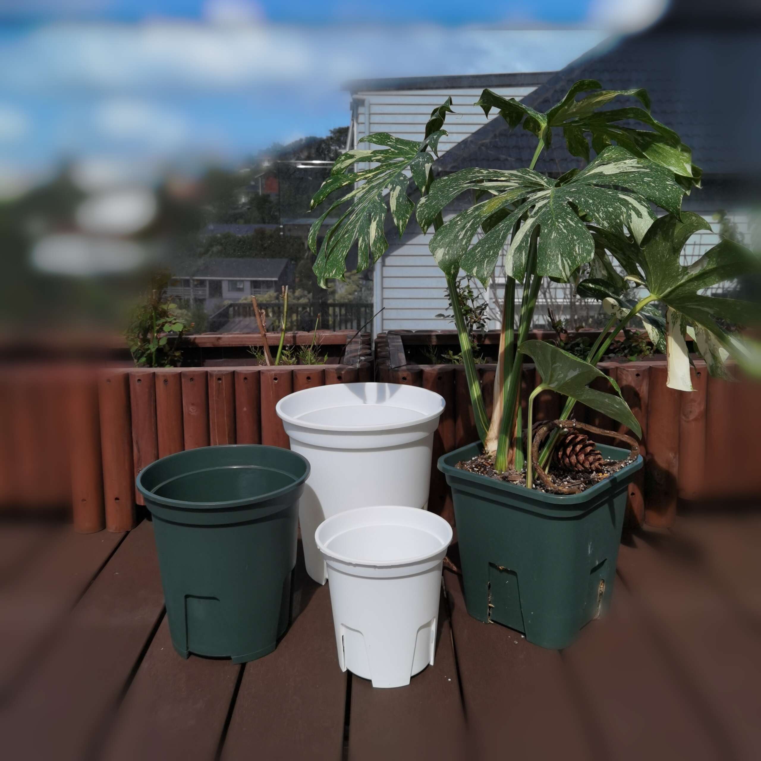 White QSP Deep Grow Pot with Saucers - Image 3