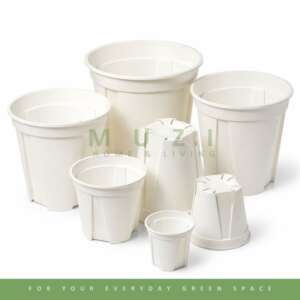 White QSP Plant Pot with Saucers