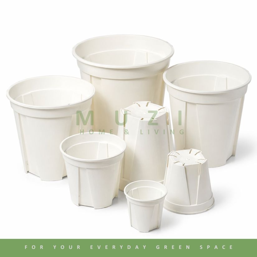 White QSP Plant Pot with Saucers