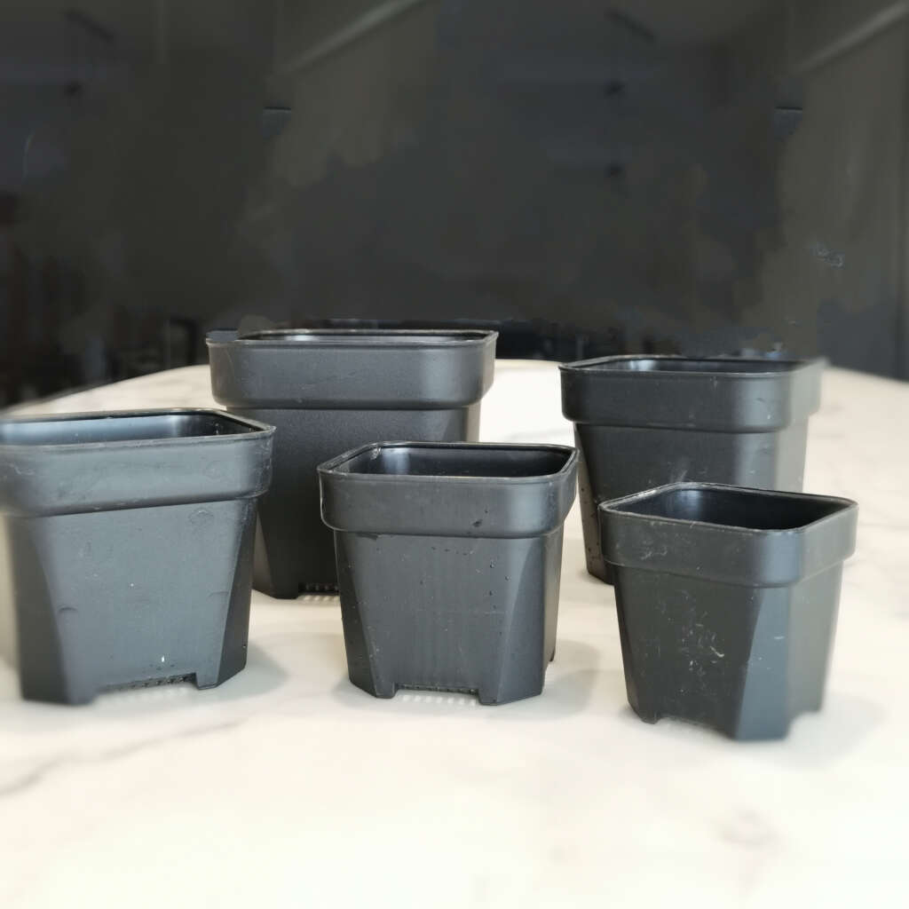 WXP Square Nursery Plants Pot