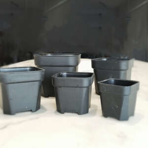 WXP Square Nursery Plants Pot