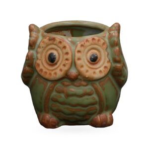 Olive-green owl planter with rust-brown feather detail and large tan eye discs