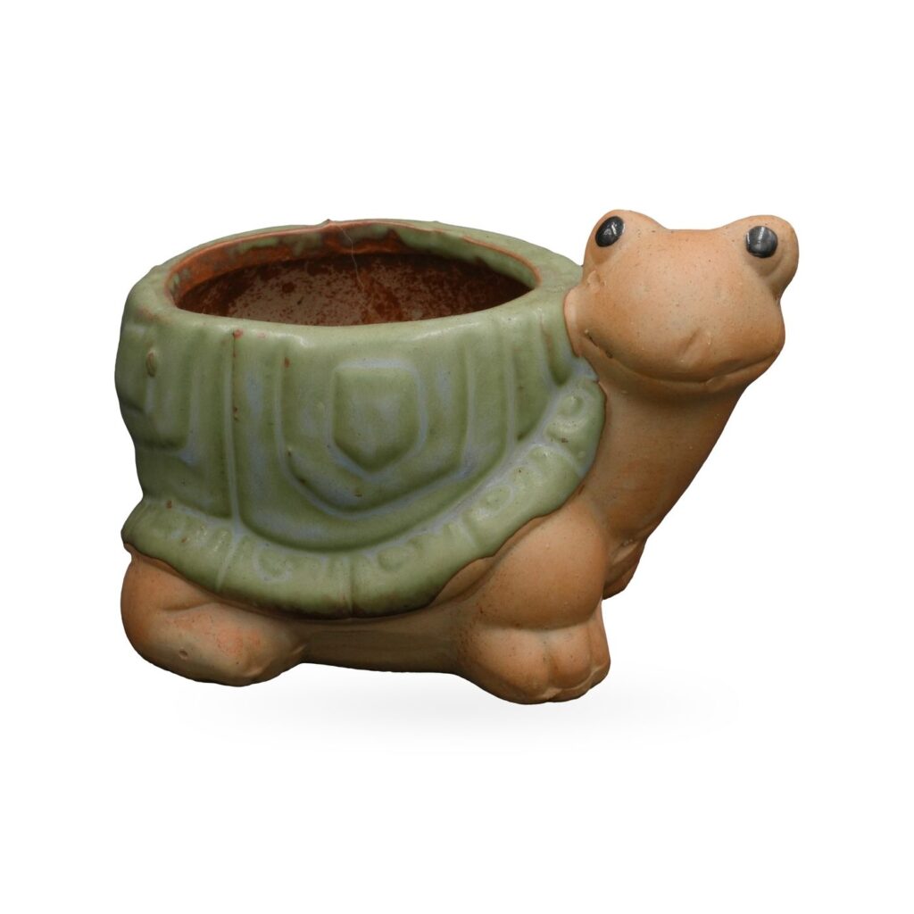 Turtle planter with a sage-green glazed shell pot and matte tan head and legs