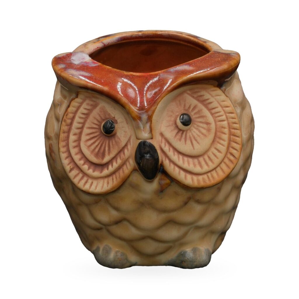 Tan glazed ceramic owl succulent pot with rust-red brow, terracotta eye discs and feather texture