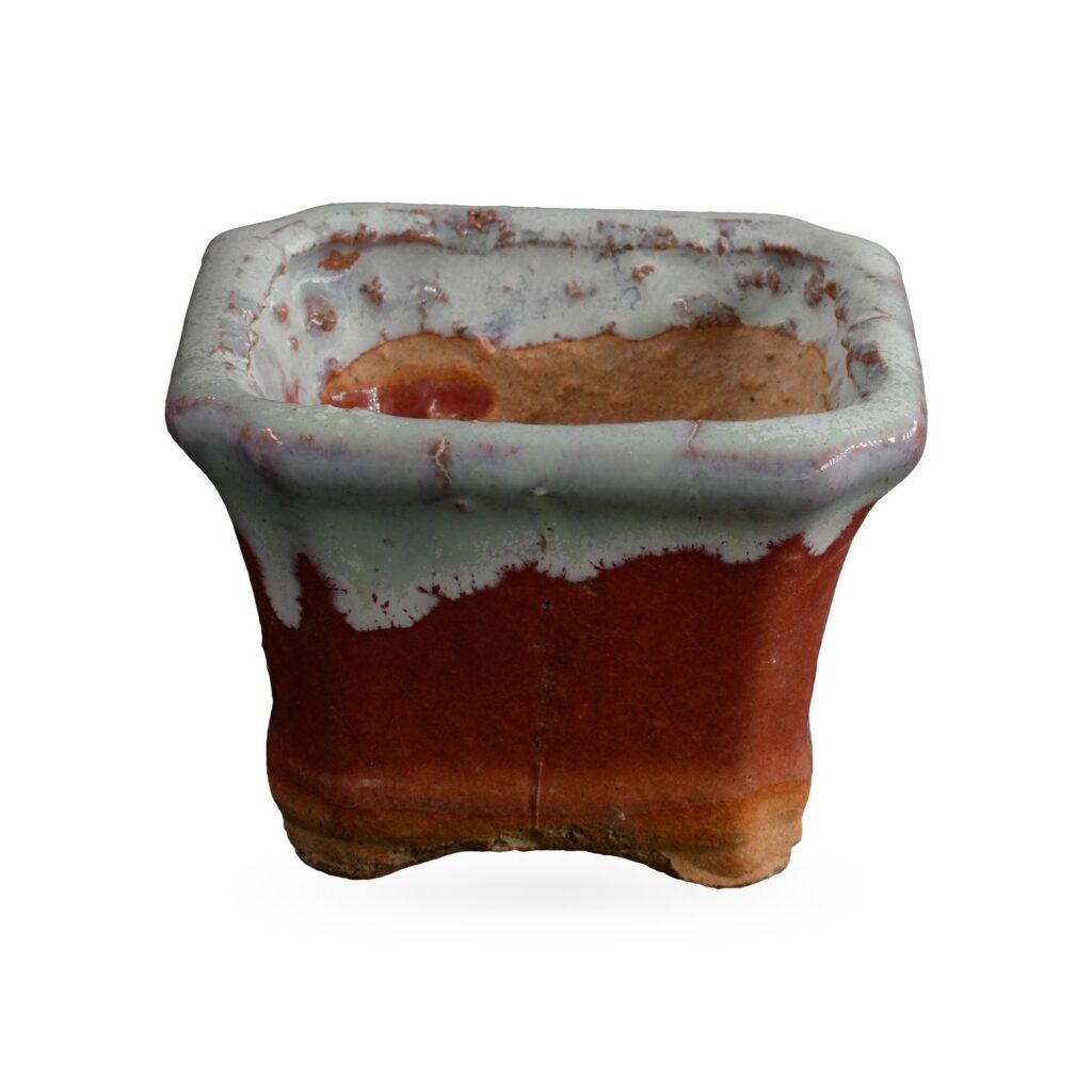 Brick-red bonsai-style pot with cut corners and grey-white drip glaze over the rim