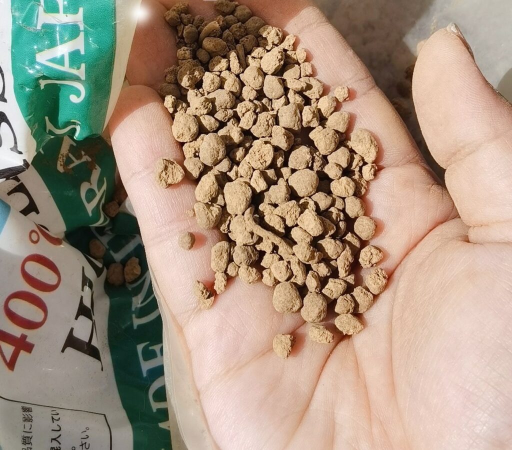Akadama soil granules in hand – bonsai and succulent soil NZ