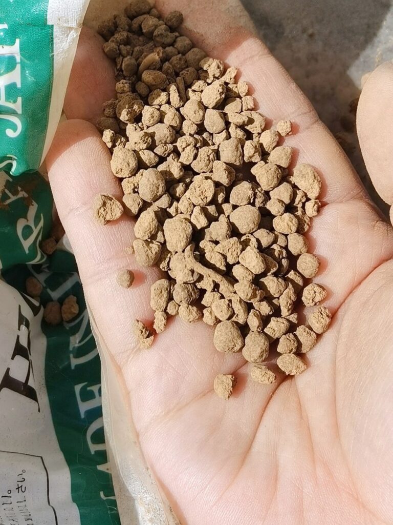 Akadama soil granules in hand – bonsai and succulent soil NZ