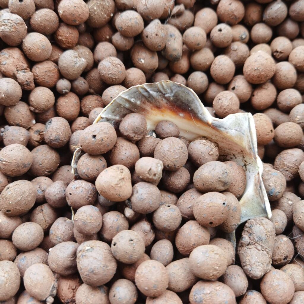 LECA expanded clay pebbles 5–8mm for drainage and aeration NZ