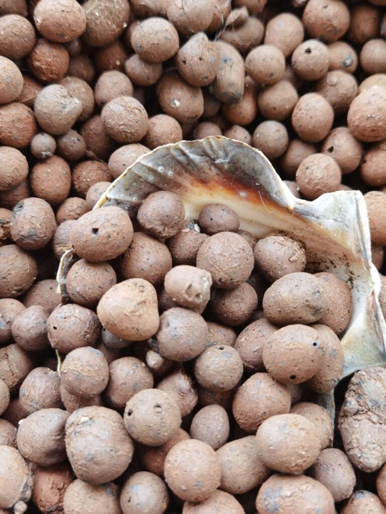 LECA expanded clay pebbles 5–8mm for drainage and aeration NZ