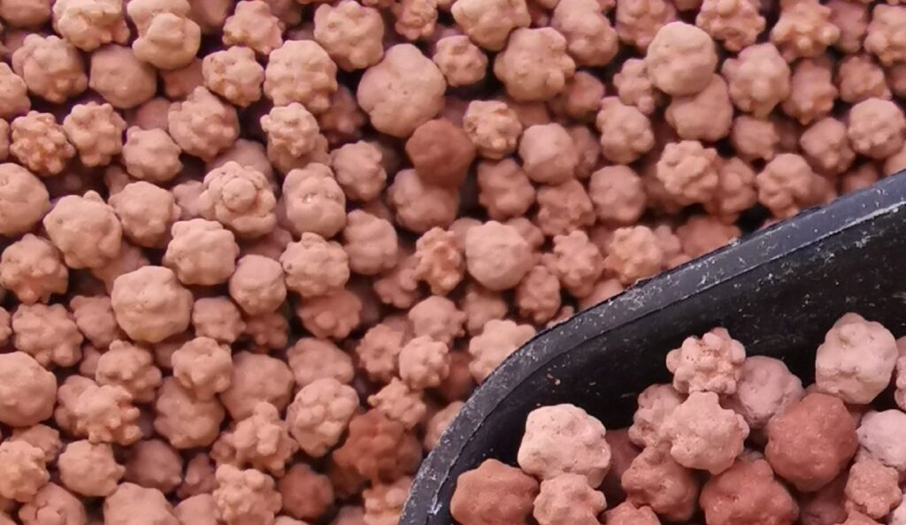 Satsuma gold stone granules 3–5mm for orchids, succulents and bonsai NZ